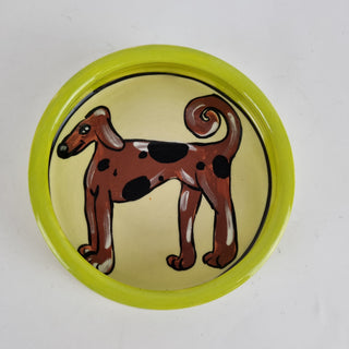 Brown Dog  -  Dog Bowl