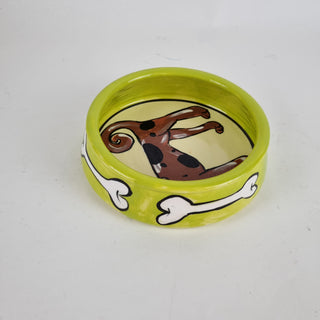 Brown Dog  -  Dog Bowl