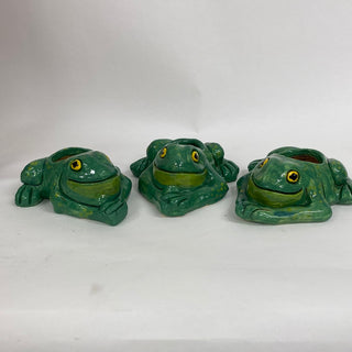 Frog Planter