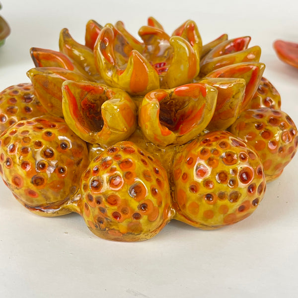 Wall Flower - orange balls